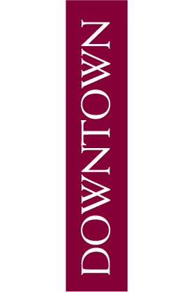 Downtown Side Car Street Banner