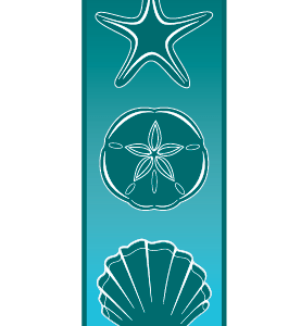 Seashells Trio Street Banner 09207