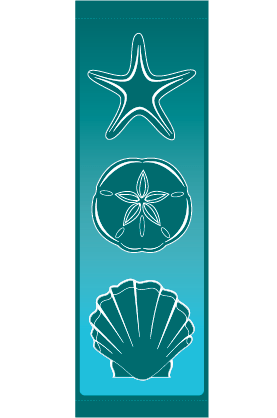 Seashells Trio Street Banner 09207