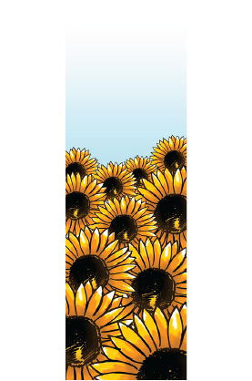 HiTech Sunflowers Street Banner