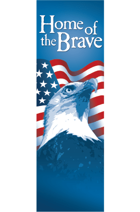 Star Spangled Brave Eagle Street Banner 11931