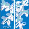 Double Blue Wonder Snow Street Banner Set 12324