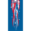 Freedom Star Street Banner 17204