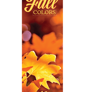 Fall Colors Street Banner FACO20919 22