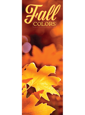 Fall Colors Street Banner FACO20919 22