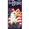 Eagle and Flag Patriotic Street Banner