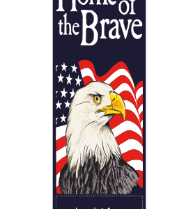 Eagle and Flag Patriotic Street Banner