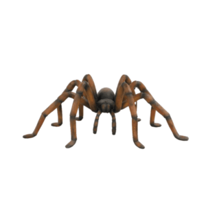 2' Recluse Spider Halloween Fiberglass Display