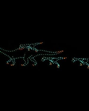 8' Animated Raptor Attack Holiday Light Display