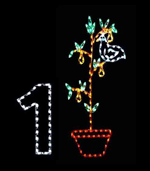 Christmas light Displays