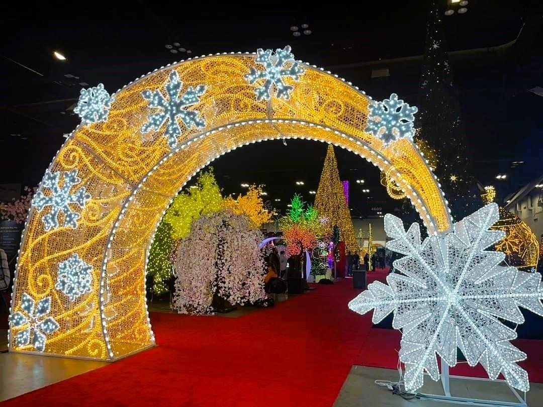 Immersive Displays