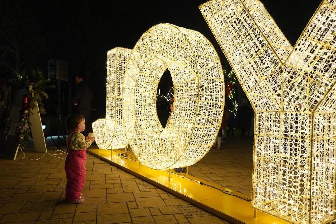 Commercial Christmas Lights