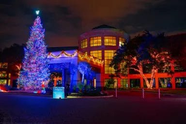 Commercial Christmas LED Lighting