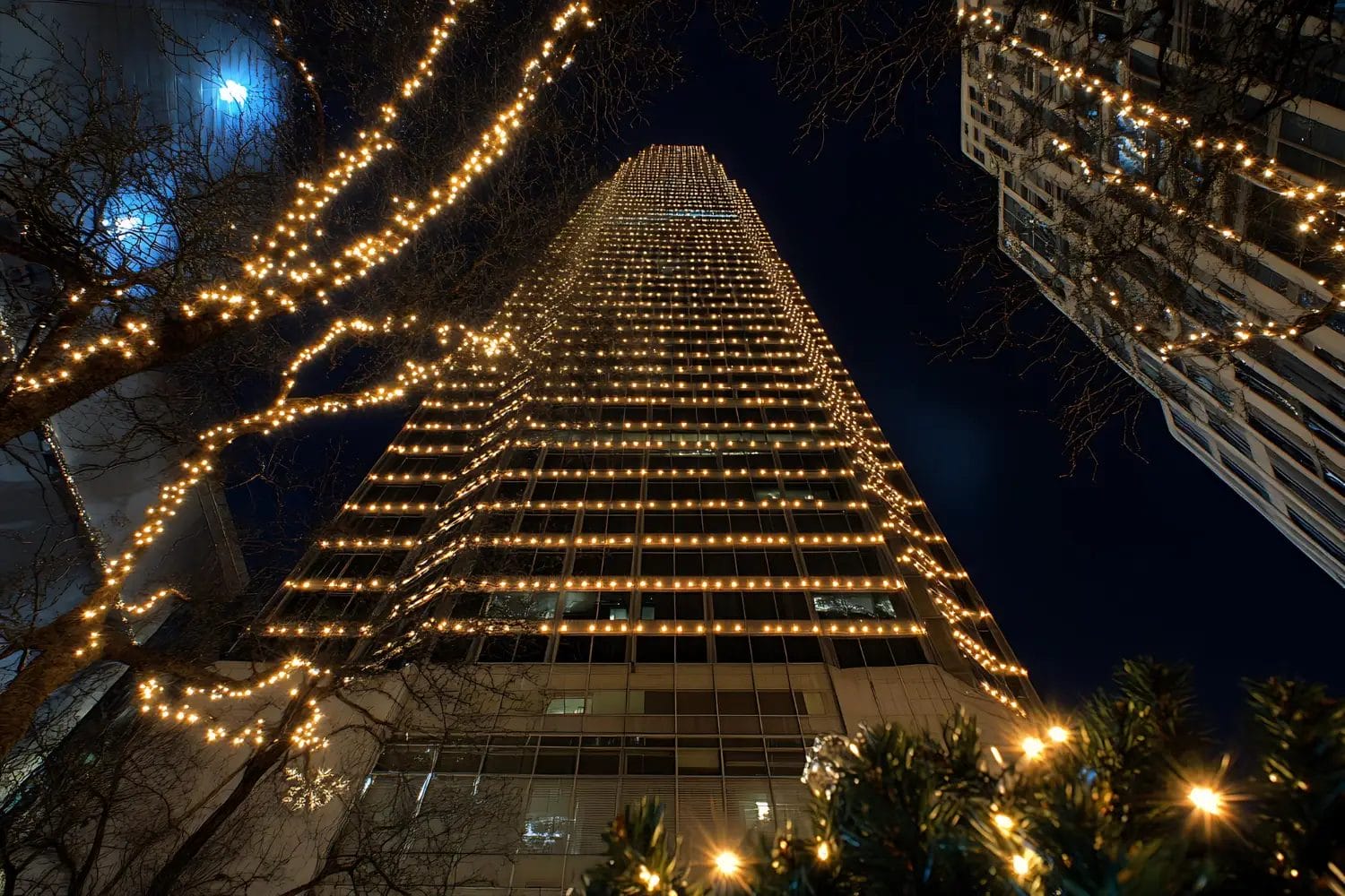 Commercial Christmas lights