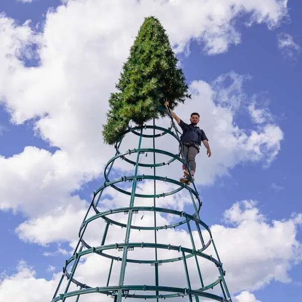 Tower Tree