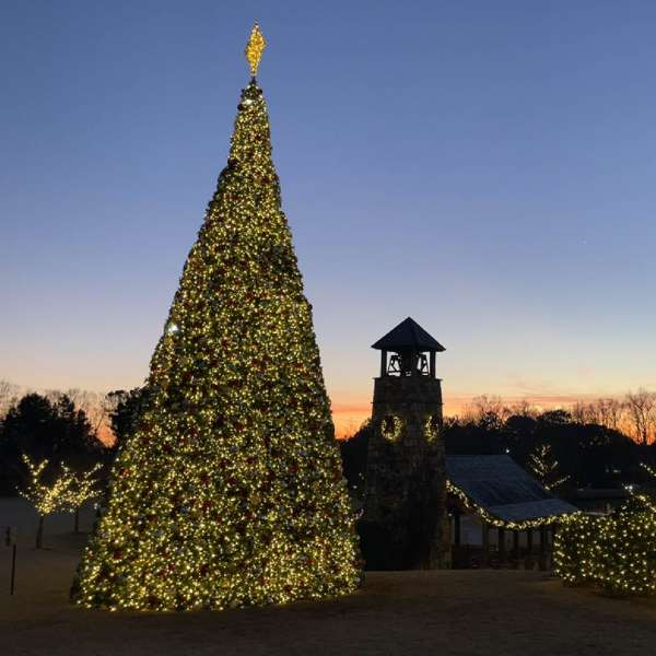 Huge Tower Tree with commercial christmas lights