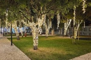 Commercial Christmas Lights