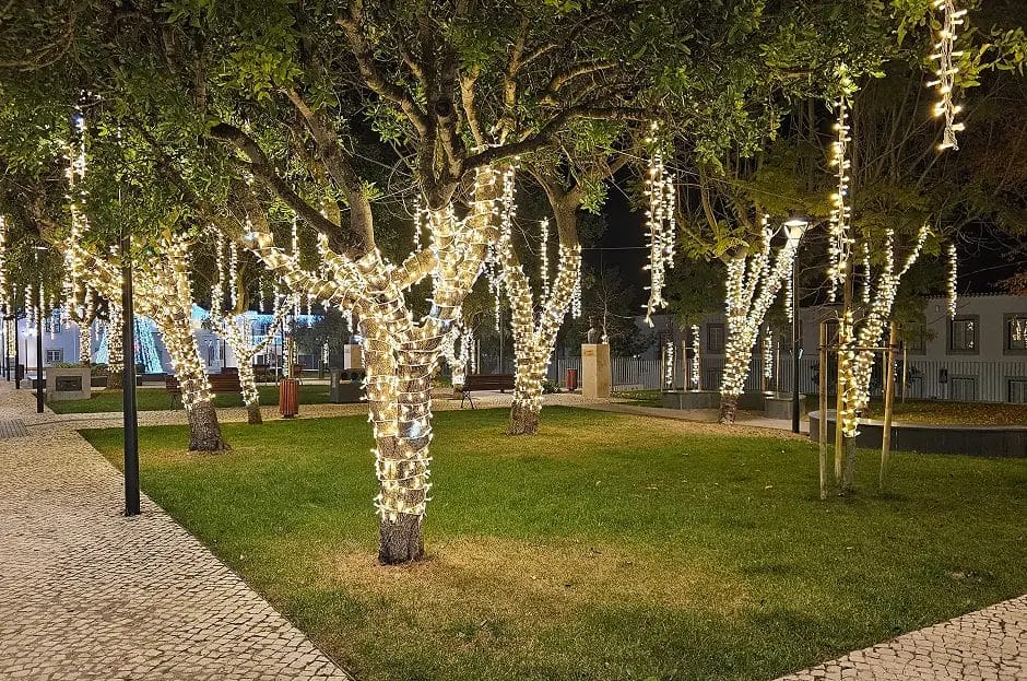 Commercial Christmas lights