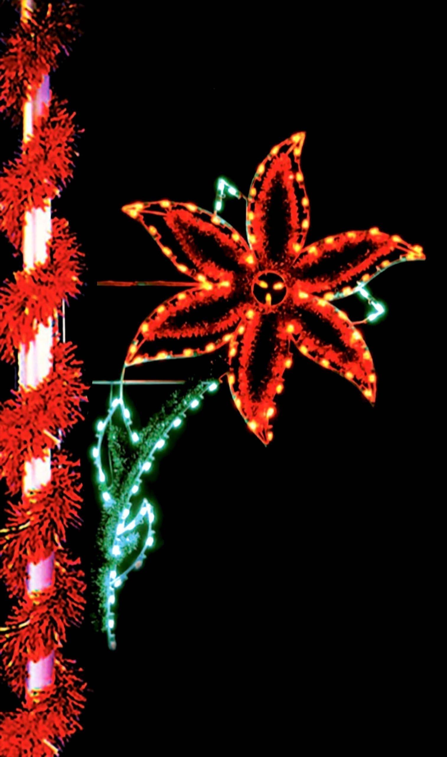 Commercial Christmas Decor