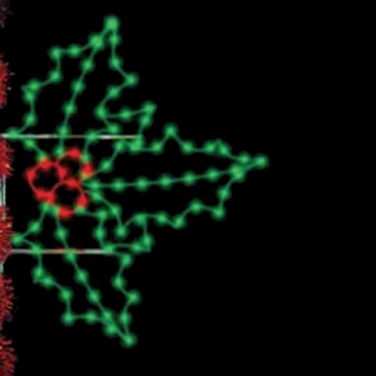 Commercial Christmas Decor
