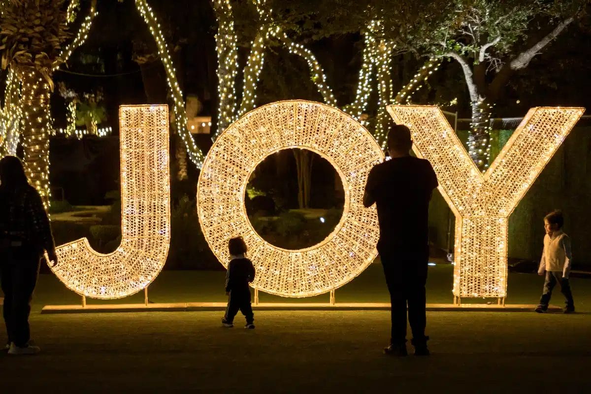 Commercial Christmas Decor